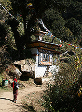 ブータンのタクツァン僧院への山道を歩く女性