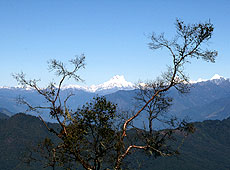 ブータンのドチェラ峠からのヒマラヤ