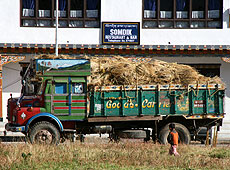 ブータンの干草を運ぶトラック