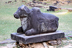 アンコール遺跡最古の寺院のプリアコーの聖なる牛