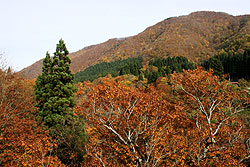 紅葉に染まる小安峡の山