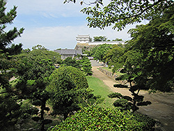 世界遺産の姫路城の庭