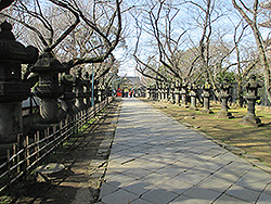 上野公園の重要文化財上野東照宮の参道
