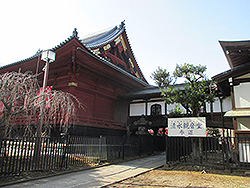 上野公園の重要文化財寛永寺清水観音堂