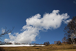四阿高原の牧場と雲