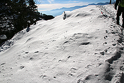 雪深い鷹狩山のトレッキング