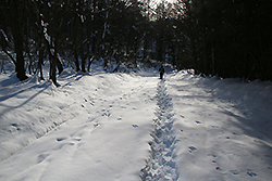 雪に埋まる鷹狩山の山道