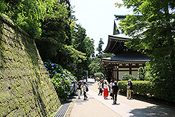 鎌倉