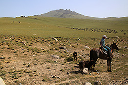 キルギスの草原で馬に乗る遊牧民の少年