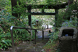 奥塩原の新湯温泉神社の石段と鳥居