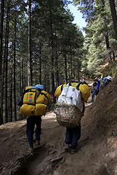 ヒマラヤのエベレスト街道を荷物を担いで登るシェルパ