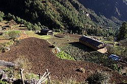 ヒマラヤの奥地モンジョ村の段々畑