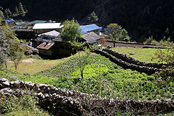 ヒマラヤのエベレスト街道沿いの農家と畑