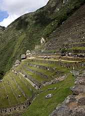ペルーの世界遺産マチュピチュの段々畑