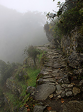 ペルーの世界遺産マチュピチュ遺跡のインカ道