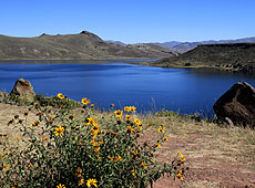 ペルーのシルスタニ遺跡のウマヨ湖