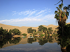 ペルーの砂漠に囲まれたワカチナのオアシス