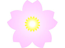 桜の花のイメージ