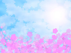青空に咲く桜のイメージ
