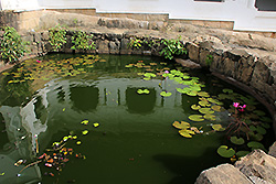 スリランカの世界遺産ダンブッラの石窟寺院の池