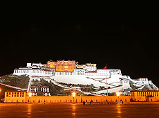 チベットの世界遺産ポタラ宮のライトアップ