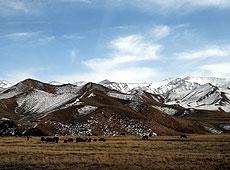 チベットの雪山と青空