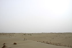 タクラマカン砂漠