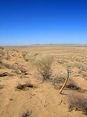 ウズベキスタンのキジルクム砂漠