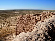 ウズベキスタンのキジルクム砂漠の古代都市遺跡アヤズカラからの眺め