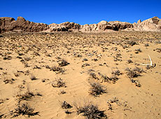 キジルクム砂漠のアヤズカラ