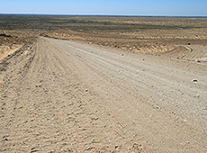 ウズベキスタンのキジルクム砂漠の道