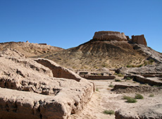 ウズベキスタンのキジルクム砂漠の古代都市遺跡アヤズカラ