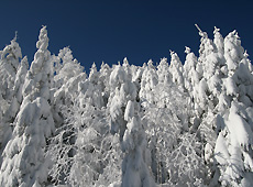 青空にそびえる八ヶ岳の樹氷