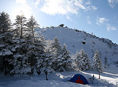 北八ヶ岳の黒百合平の雪景色