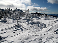 八ヶ岳の中山展望台の雪原と樹氷