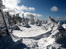 北八ヶ岳の中山展望台の雪景色と樹氷