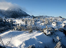 北八ヶ岳の天狗の奥庭の雪景色