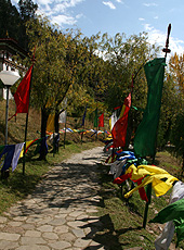 ブータンのパロ・ゾンへの道