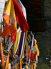 ブータンのパロの通りに飾られる国旗と旗