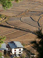 朝日に照らされるブータンの農村に広がる田んぼ