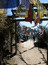 ブータンのタクツァン僧院への山道にはためくタルチョ