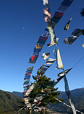 ブータンの山の上に立つダルシンとタルチョ