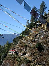 ブータンの聖地にあるタクツァン僧院への山道