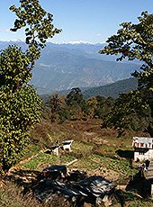 ブータンのドチェラ峠にある民家とブータンヒマラヤ