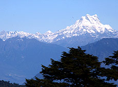 ブータンのドチェラ峠からのブータンヒマラヤ