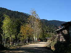 ブータンのドチェラ峠近くの村