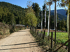 ブータンの田舎道