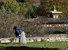 ブータンのタシチョ・ゾンの庭を掃除する女性