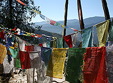 ブータンのタクツァン僧院への山道のタルチョ