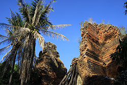 カンボジアのロレイ遺跡とやしの木